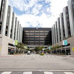 COMMUNICATION 미국 Cedars-Sinai Medical Center 연수<BR>이현주 가임센터장, 산부인과 과장 해외 연수기